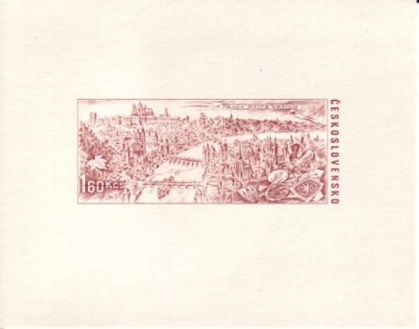 PT 019 B - 1988